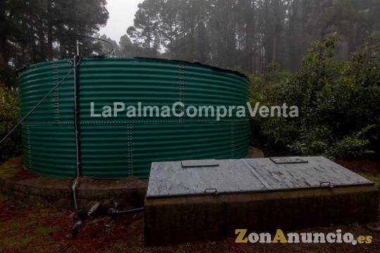 ID-444 Terreno en producción de aguacates con 100 matas